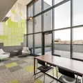 1 bedroom apartment for rent in East Flatbush - Brooklyn, New York