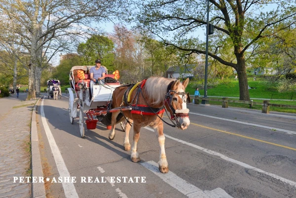 1 bedroom apartment for rent in Upper East Side - Manhattan, New York