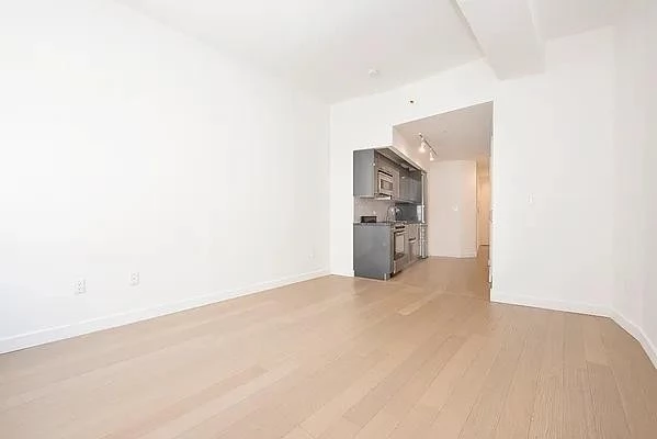 1 bedroom apartment for rent in FiDi - Manhattan, New York