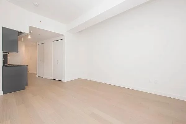 1 bedroom apartment for rent in FiDi - Manhattan, New York