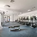 1 bedroom apartment for rent in East Flatbush - Brooklyn, New York
