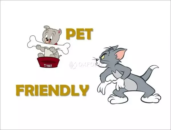 1 bedroom apartment for rent in Murray Hill - Manhattan, New York