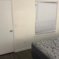 Room for rent in Winter Park #5