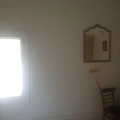 Room for rent in Alameda #1