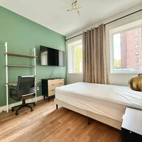 Coliving in Clinton Hill - Brooklyn, New York