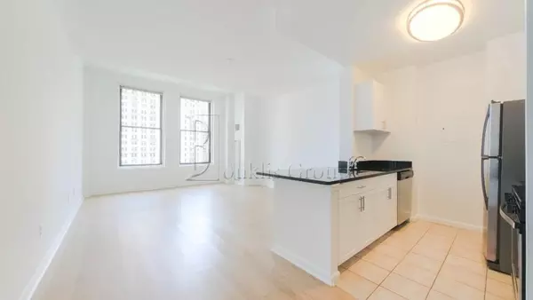 1 bedroom apartment for rent in FiDi - Manhattan, New York