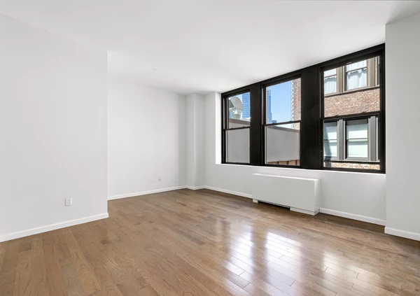1 bedroom apartment for rent in FiDi - Manhattan, New York