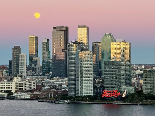 1 bedroom apartment for rent in Midtown East - Manhattan, New York