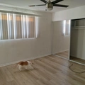 Room for rent in East Hollywood #3