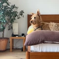 2 bedrooms apartment for rent in Red Hook - Brooklyn, New York