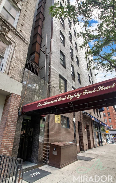 1 bedroom apartment for rent in Upper East Side - Manhattan, New York