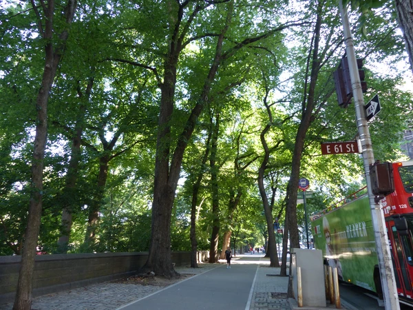 1 bedroom apartment for rent in Upper East Side - Manhattan, New York