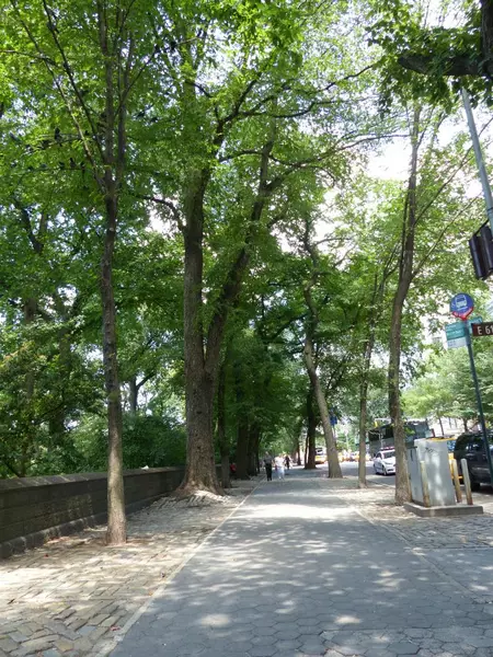 1 bedroom apartment for rent in Upper East Side - Manhattan, New York