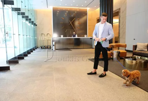 1 bedroom apartment for rent in FiDi - Manhattan, New York