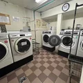 1 bedroom apartment for rent in The Bronx - The Bronx, New York