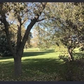 Room for rent in Aurora CO #4