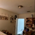 Room for rent in Temple Terrace #1
