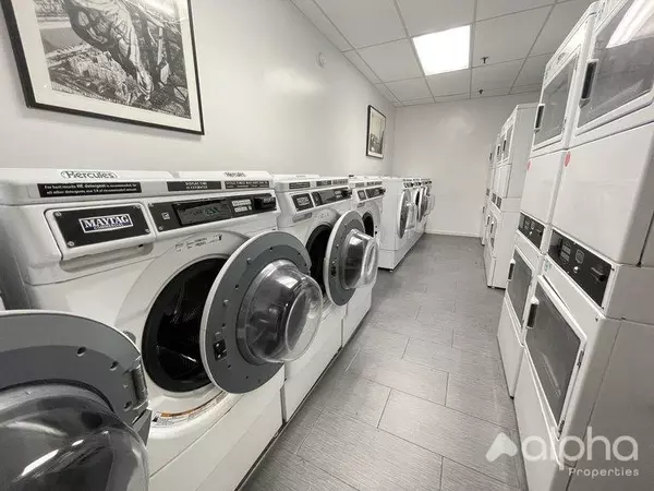 Studio Apartment for rent in Harlem - Manhattan, New York