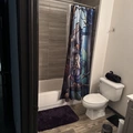 Room for rent in Plano #2