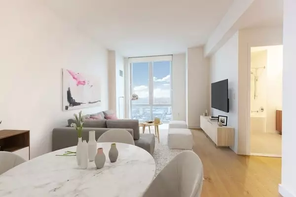 1 bedroom apartment for rent in LIC - Queens, New York