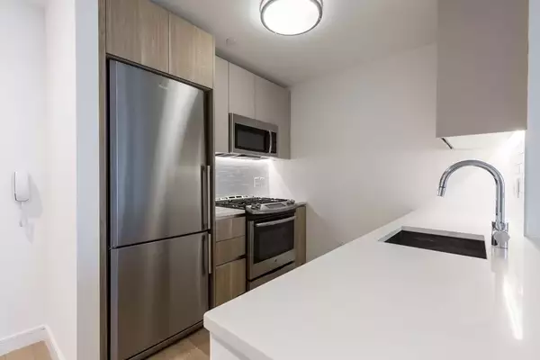 1 bedroom apartment for rent in LIC - Queens, New York