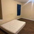 Room for rent in Alafaya #1
