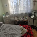 Room for rent in Danforth East York #7