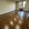1 bedroom apartment for rent in Concourse Village - The Bronx, New York