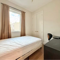 Co-living en Clinton Hill - Brooklyn, New York