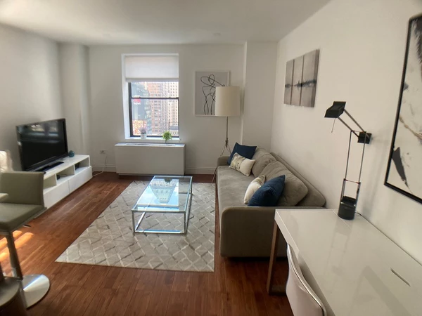 1 bedroom apartment for rent in Midtown West - Manhattan, New York