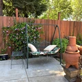 Room for rent in Rohnert Park #10