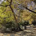 1 bedroom apartment for rent in Harlem - Manhattan, New York