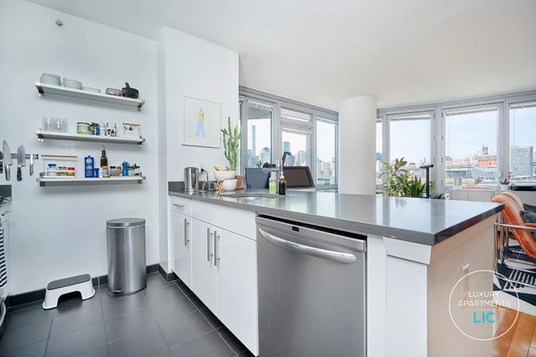 1 bedroom apartment for rent in LIC - Queens, New York