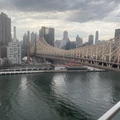 Room for rent in Roosevelt Island #3