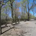 1 bedroom apartment for rent in Upper West Side - Manhattan, New York