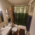 Room for rent in Central East Austin #5