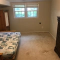 Room for rent in Springfield #6