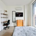 Coliving in Prospect Lefferts Gardens - Brooklyn, New York