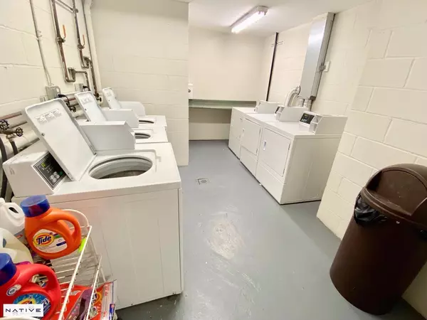 1 bedroom apartment for rent in Greenpoint - Brooklyn, New York