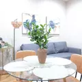 3 bedrooms apartment for rent in Harlem - Manhattan, New York