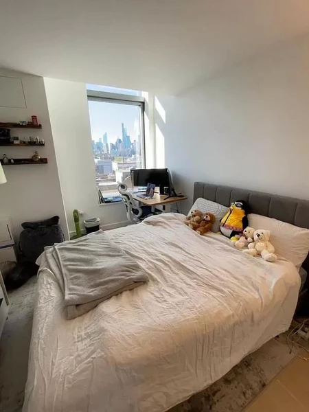 2 bedrooms apartment for rent in LIC - Queens, New York