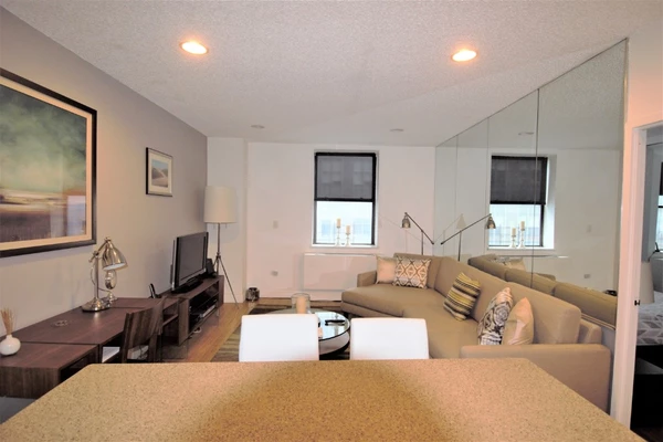 1 bedroom apartment for rent in Midtown West - Manhattan, New York
