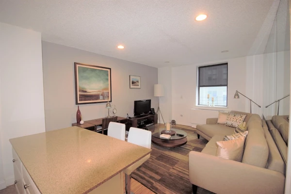 1 bedroom apartment for rent in Midtown West - Manhattan, New York