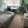 Room for rent in Treasure Island #1