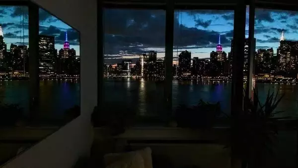 1 bedroom apartment for rent in LIC - Queens, New York