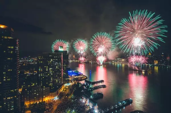 1 bedroom apartment for rent in LIC - Queens, New York