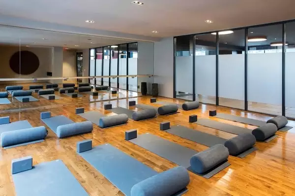 1 bedroom apartment for rent in LIC - Queens, New York