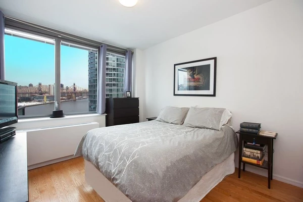 1 bedroom apartment for rent in LIC - Queens, New York