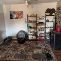 Room for rent in Arlington Heights IL #1
