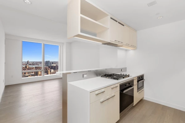 1 bedroom apartment for rent in Midtown - Manhattan, New York
